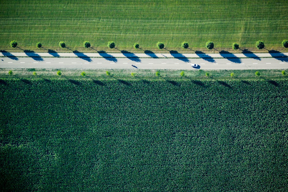 Drone view of a road flanked by fields and trees in Niederuzwil, Switzerland.